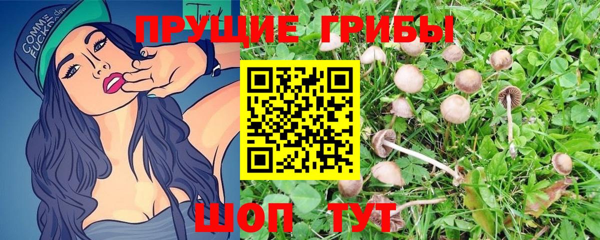 купить закладку  Галлюциногенные грибы ЛСД  Вход с VPN  Жигулёвск 
